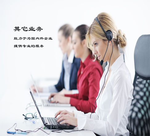 其它业务